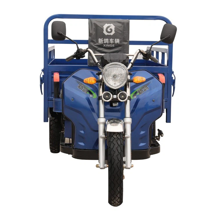 New Model Load Electric Cargo þríhjól